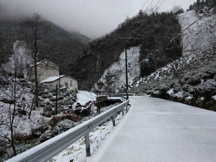 杭州下雪啦最冷的日子要來了