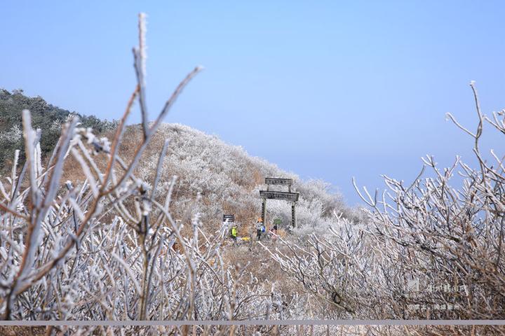 衢州绿春湖雪景图片
