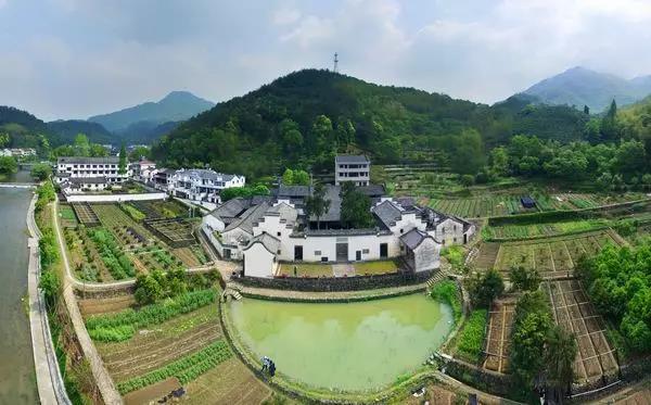 次坞新村 山下湖镇 解放村 山下湖镇 新长乐村 应店街镇 紫阆村 阮市