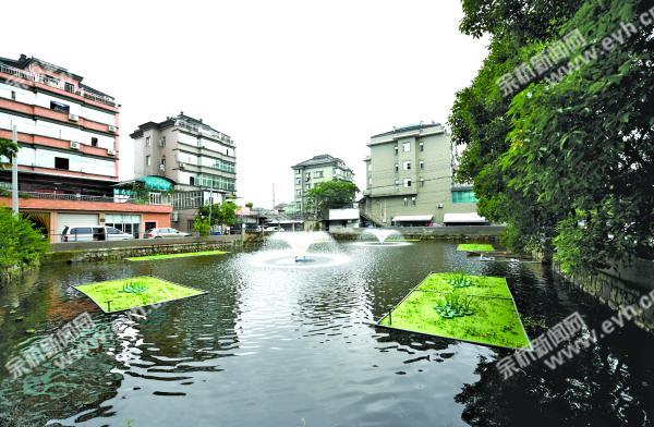 余杭区乔司街道朝阳村小微水体 周铭/摄