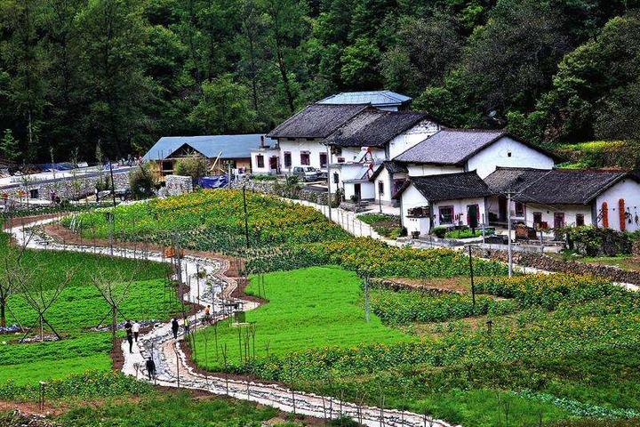 锐评丨以宅基地改革推动乡村振兴