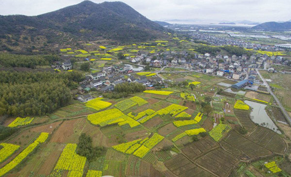 定海马岙:三大景区带串起了一个风情小镇