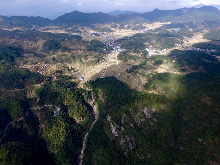 景宁县大漈乡丨茭白种出好效益 景宁大漈山路弯弯盼路畅