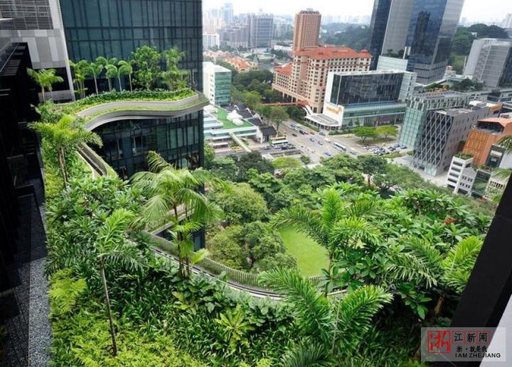 这个房子竟然长草了新加坡再现古巴比伦空中花园