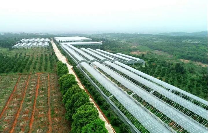 柯城区2020GDP_衢州市柯城区地图