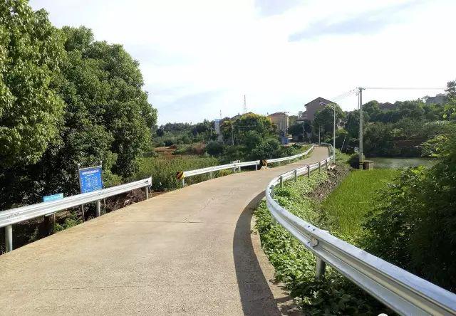 可赏花可采摘还能养生养老嵊州市东大湾村要打造乡村旅游新版本
