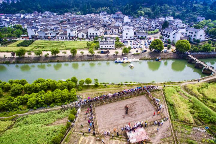 4月29日上午,兰溪市芝堰古村宾客云集,热闹非凡,一场别开生面的斗牛