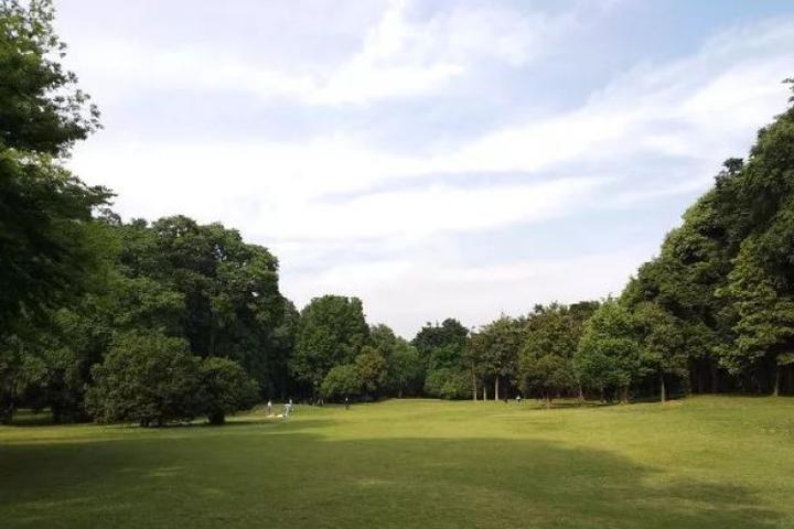 天晴,草軟,速來!杭州植物園大草坪開放