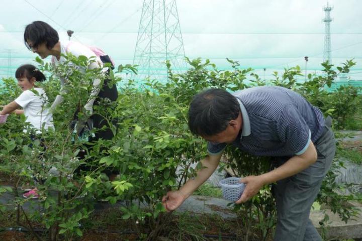 绍兴陶堰人口_绍兴水陶堰油菜花图片