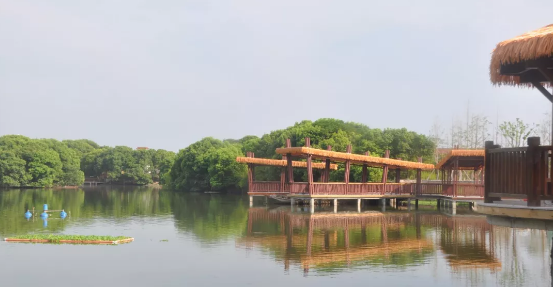 三林村景區位於德清東部,杭嘉湖平原中心,正在創建國家3a級旅遊景區