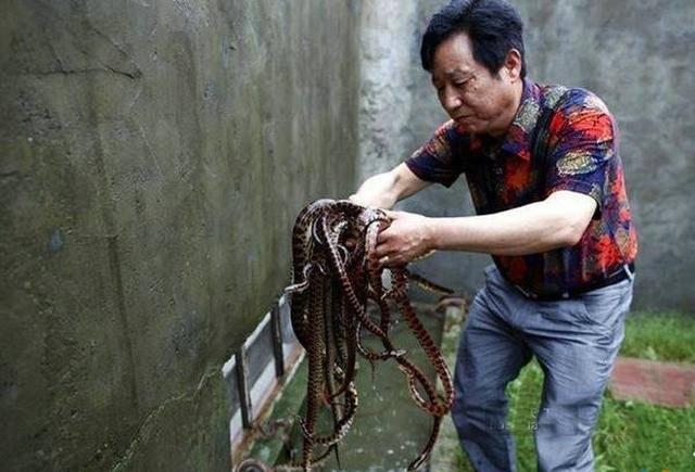 "他眼睛向下一瞄