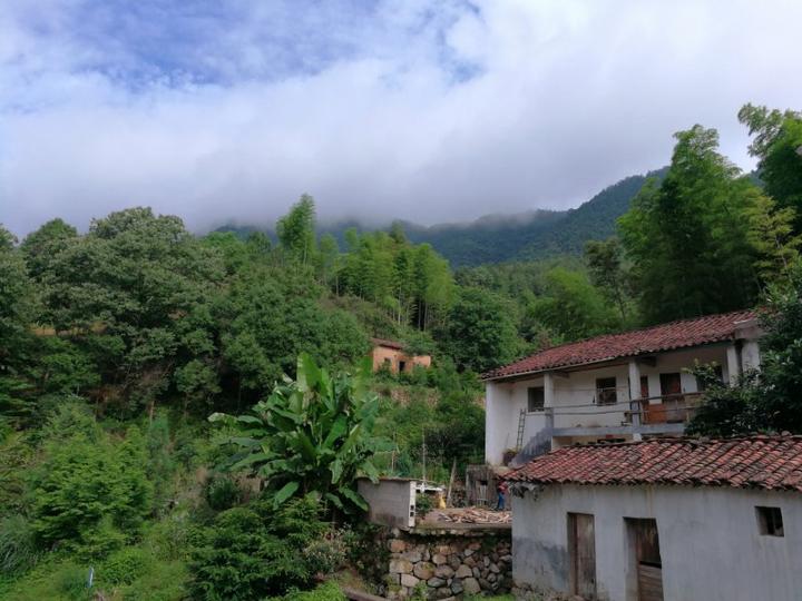 《美丽山村》山野美景传递人摄于塔石乡岱后村