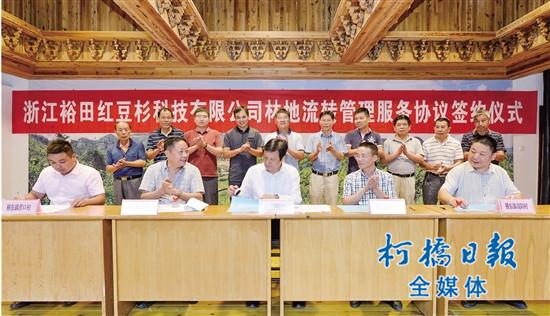 河南村级市_增加村级经营性收入