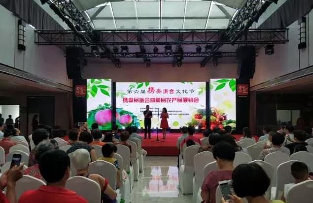 洪合镇吴越槜李品牌区域联盟正式成立