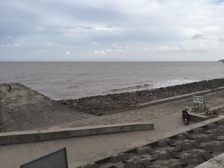 看圩区走海塘进工地平湖市长一线盯紧防台细节