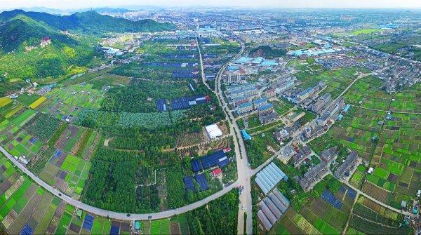 峰江街道亭屿村和山后许村之间,由一段近两公里的路相连,全省首例土壤