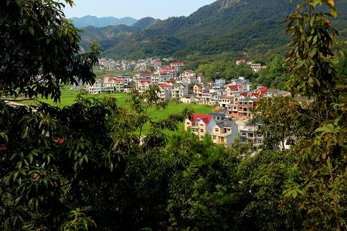 临安区岛石镇太平里村.