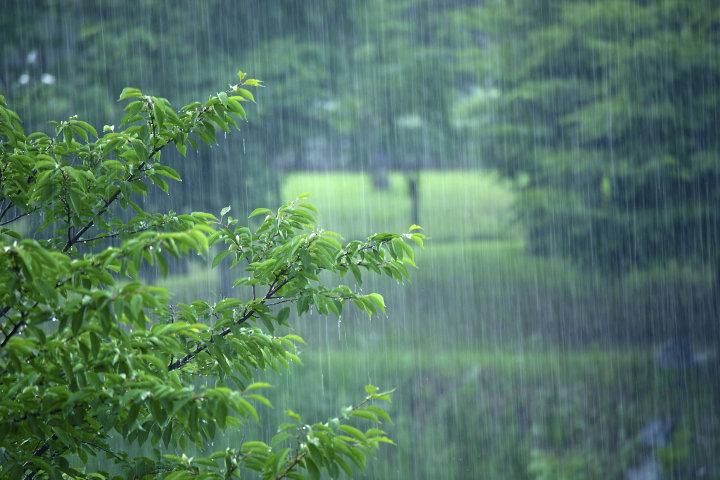 一陣晴一陣雨的踏浪天告一段落今起迴歸陰雨天