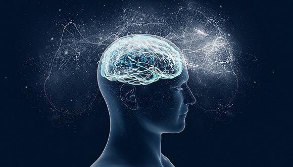 浙大发布双脑计划:脑科学与AI研究会聚融合