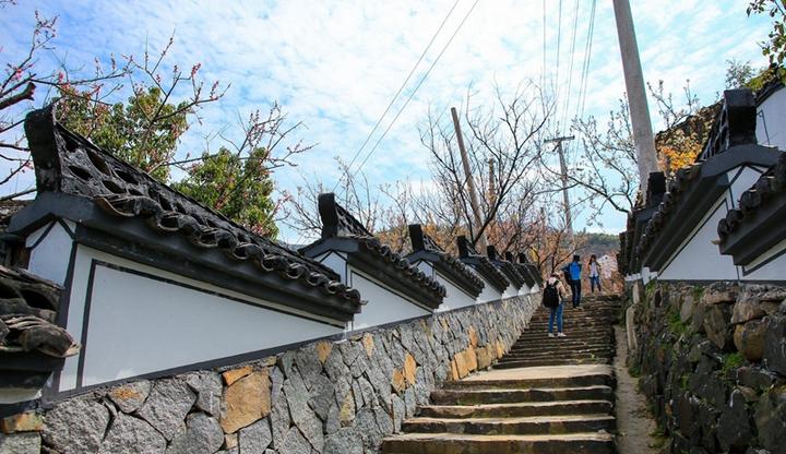 岭南乡东澄村上榜"中国美丽休闲乡村"