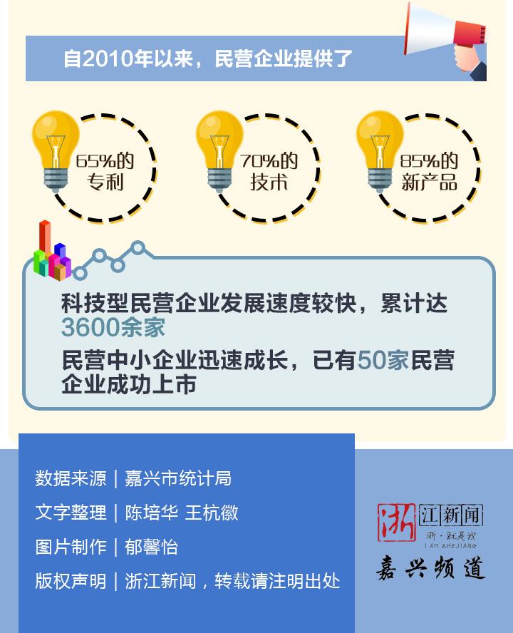 嘉兴民营经济总量_嘉兴红船图片(2)