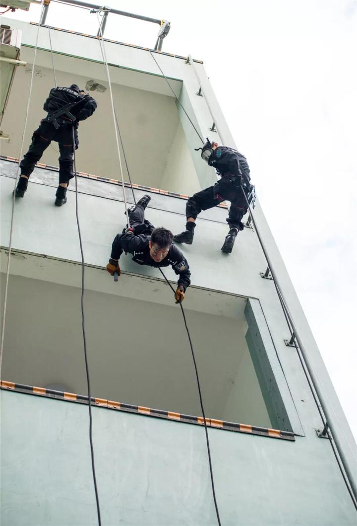 警營開放日快來看看特警哥哥姐姐們的颯爽英姿吧