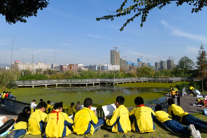 11月30日,東陽市江北湖田小學開展以毅行為主題,融資料蒐集,採集標本