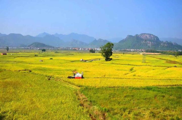 仙居雲田古鎮:原貌添新景 來日更怡人