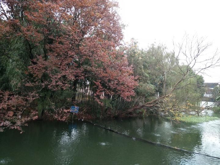 class=jsx-2067324226浙江秀洲经济开发区(王店镇） 千年古镇的美丽蝶变