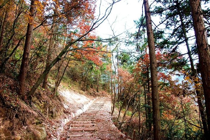 全国仅六条入选 浦江马岭古道荣获全国最美森林古道称号