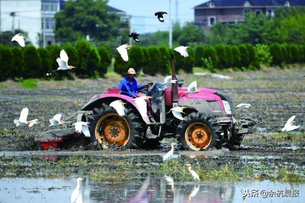 一个村庄的四十年变迁记录着余杭农村改革历程