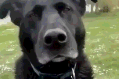 timg.gif timg.gif
