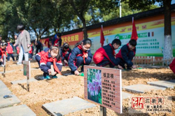 中医药文化进校园