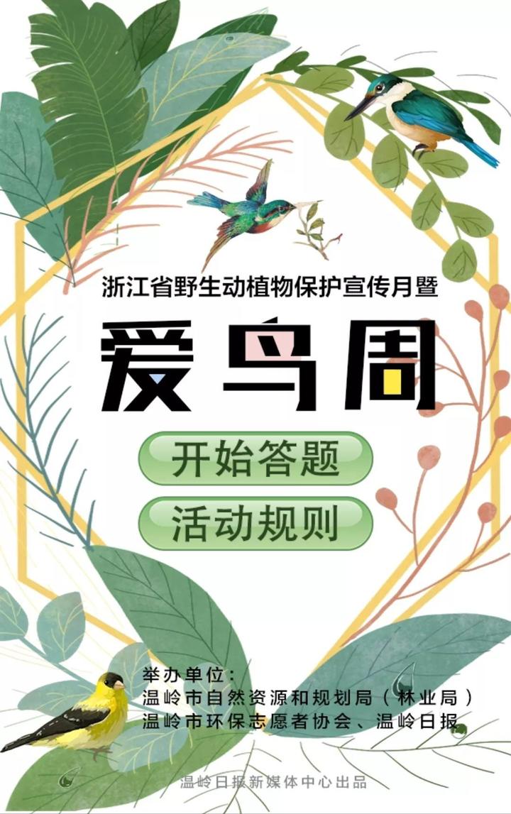 又是一年爱鸟周参与答题有惊喜