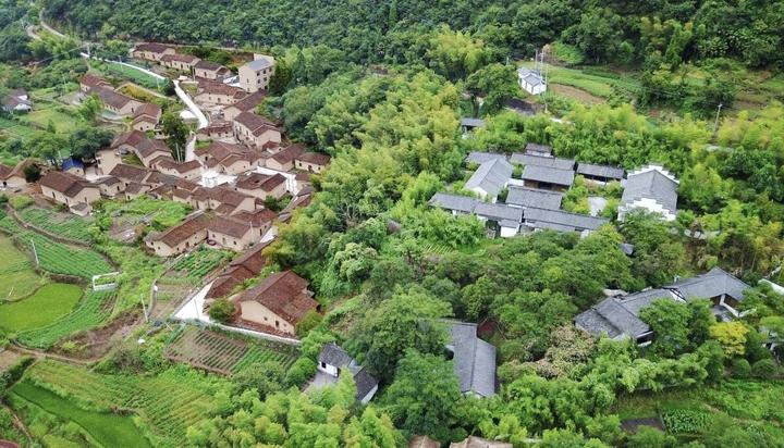 遂昌县城,驱车1小时,再乘坐渡船10分钟,便来到四面环水的湖山乡黄泥岭