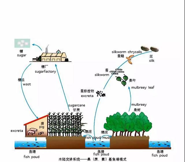 湖州日报 人口_浙江日报(2)