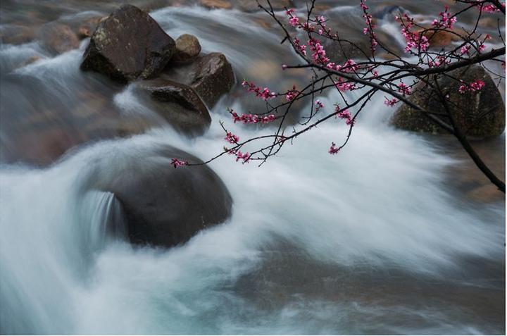 風色滿新花日暮連歸騎,長川照晚霞只道是:清風徐來,水波不興滿眼盡是