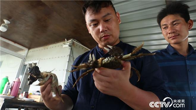 央视致富中闽弘泰视频_央视致富经海鸭蛋_央视致富经