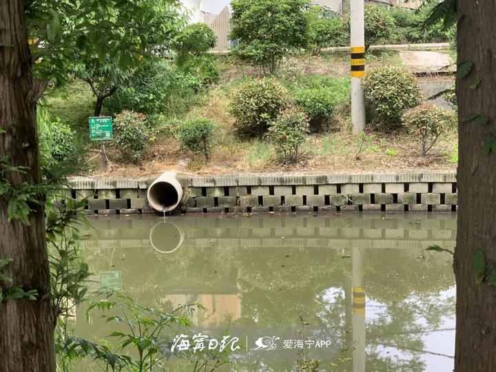 岸上汙水直排河面漂著油花海寧這條河道多次整治為何治不了本