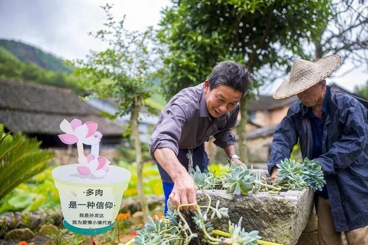 浙江遴选乡村特色产品和乡村能工巧匠