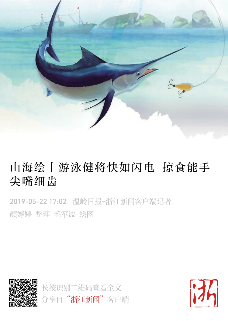 山海绘丨游泳健将快如闪电掠食能手尖嘴细齿