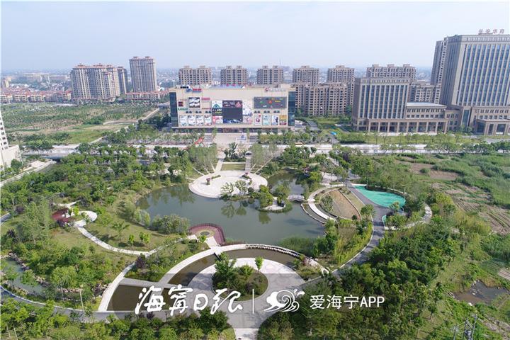 海宁海盐专业网站建设 浙江新闻官网