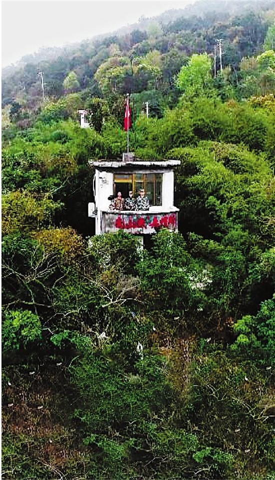平阳县人口有多少人口