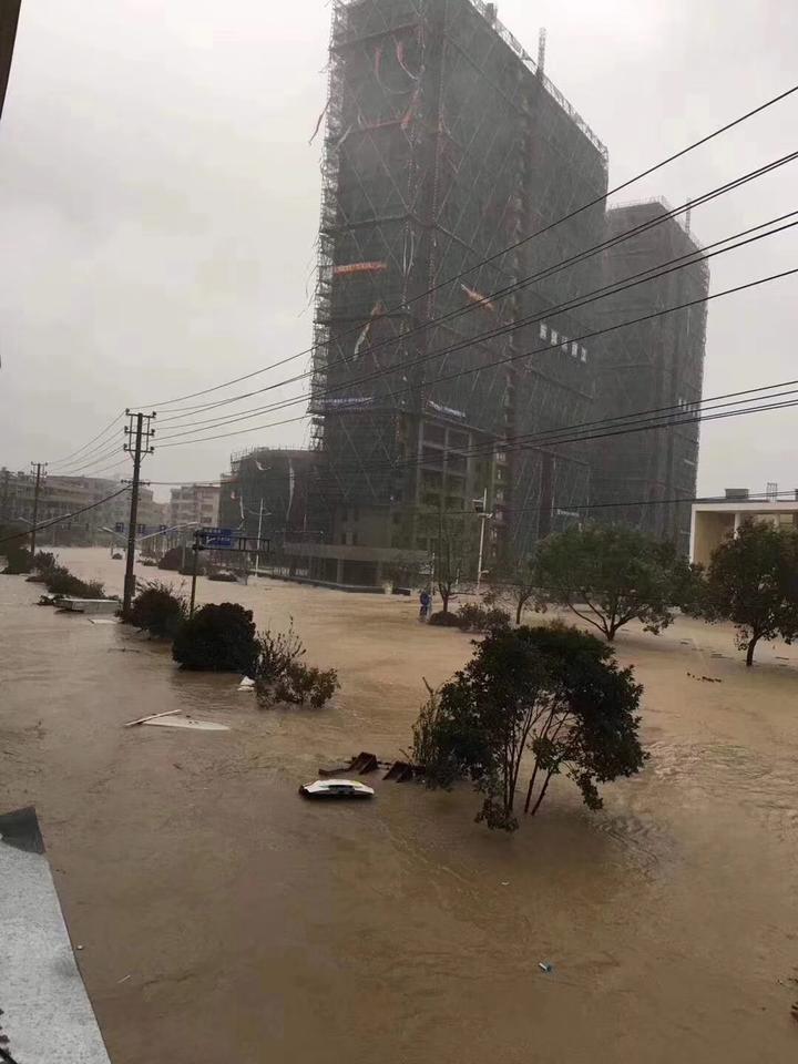 乐清大荆镇人口_乐清市大荆镇中庄村(3)