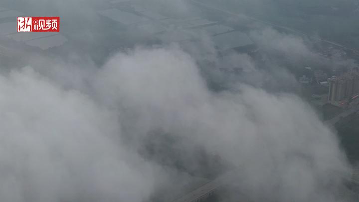 1566186565276_5d5a1c45159bb84750686a72.jpeg