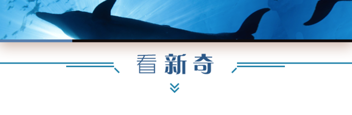 看世界丨 杀人回忆 真凶被抓腊八蒜中发现神秘物质