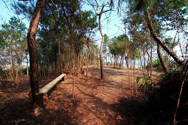 全域旅遊寧海行⑤重陽登高去哪裡寧海這些登山步道美爆了