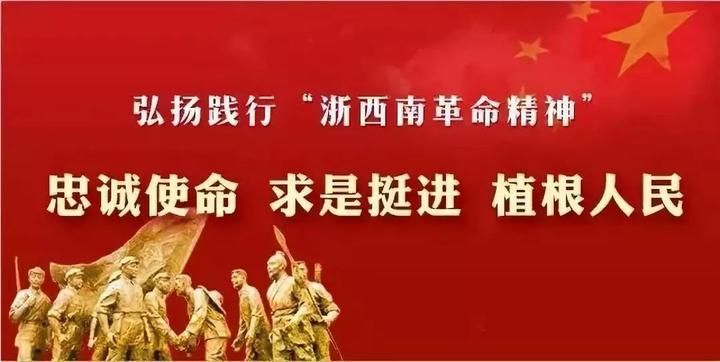 景宁人口_浙江青田常住人口50.9万,其中华侨14.6万(2)