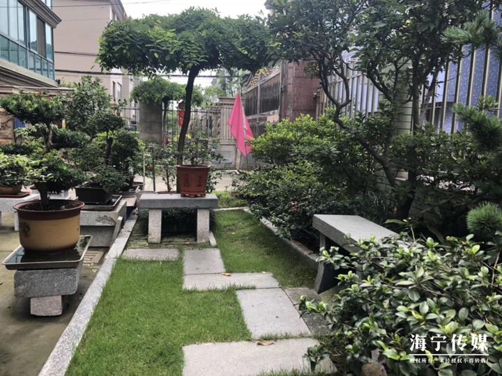 微景观刷新颜值海宁东郊居民自建小花园