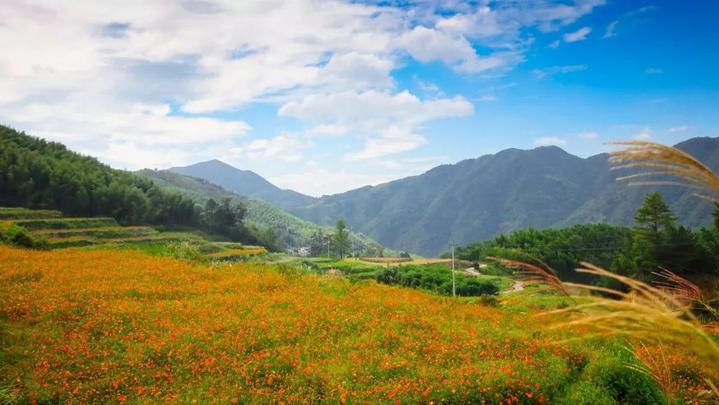 攬聚高虹鎮石門,龍上,大山三個行政村,面積達55平方公里.景區內靈山